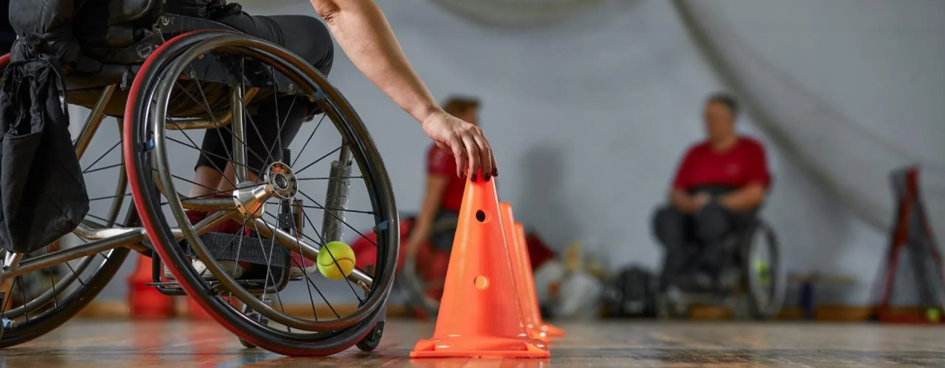 IPS sportif